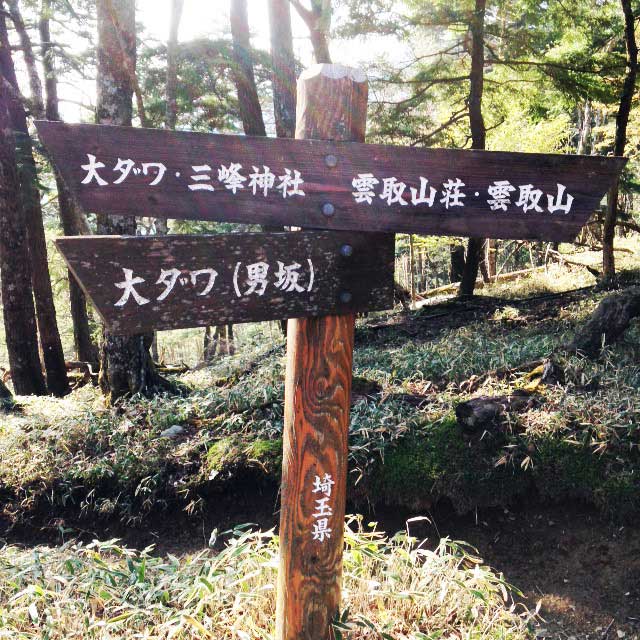 2017mの雲取山へ登る2「大ダワ男坂女坂分岐」